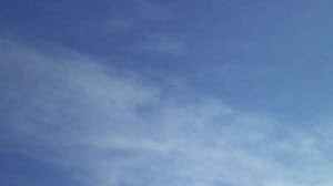 Apartments for Rent in 90038, CA - RENTCafe